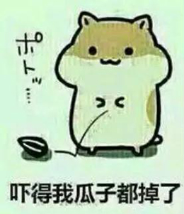 03.jpg