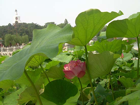 09.jpg