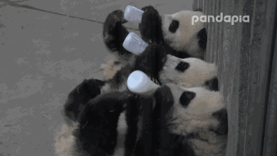 03.gif