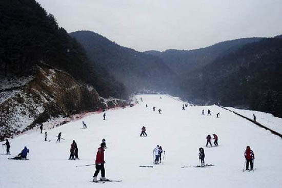 06.jpg