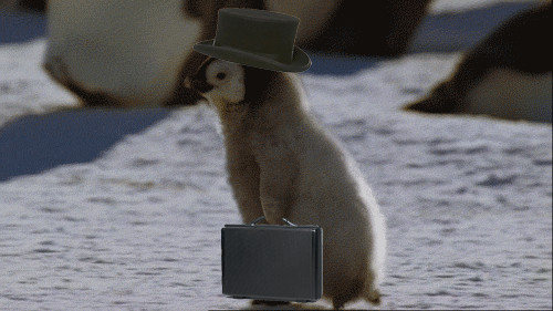 微信图片_20190114164712.gif